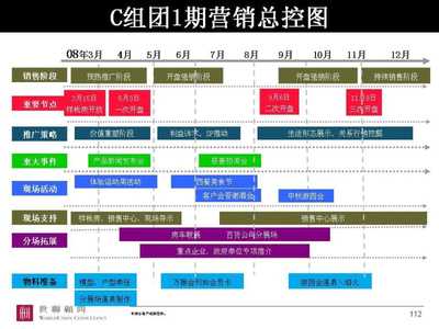 世联安徽合肥万振房地产项目市场营销策划总纲