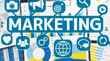 市场营销策划的完整指南