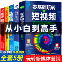 市场营销策划 从洞察到行动的系统工程